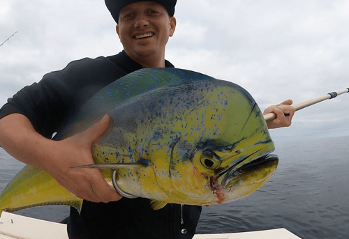 Offshore on the Fly SoCal