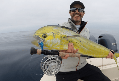 Offshore on the Fly SoCal