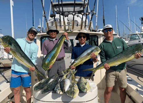 Offshore on the Fly SoCal