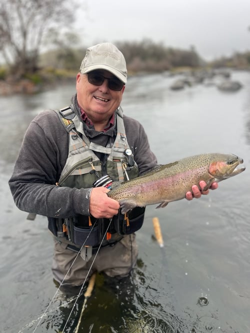 Rainbow Trout Fishing in Hume, California