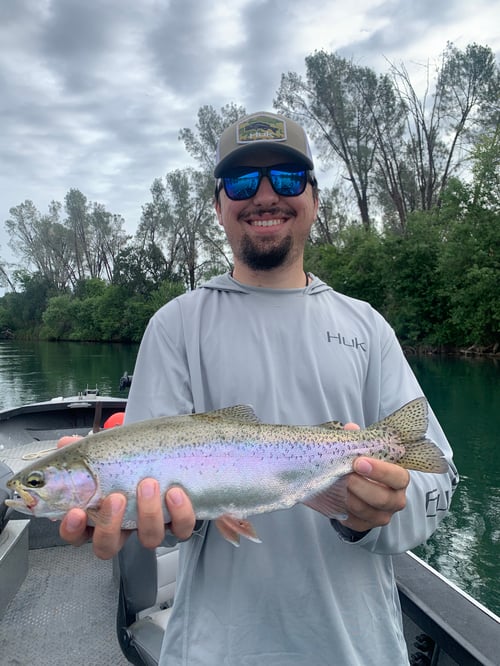 Fly Fishing The Lower Sacramento