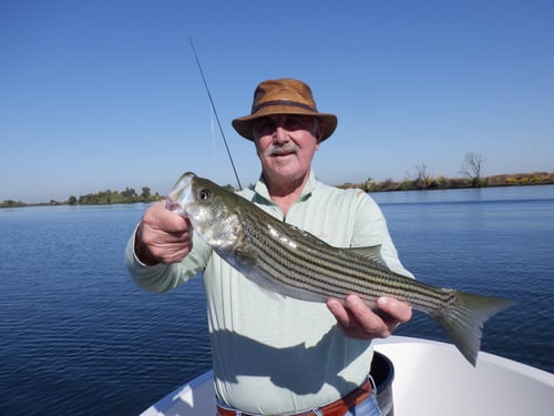 California Delta Freshwater Trip