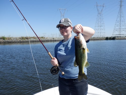 California Delta Freshwater Trip