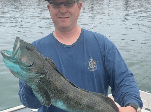 Santa Cruz Island Adventure