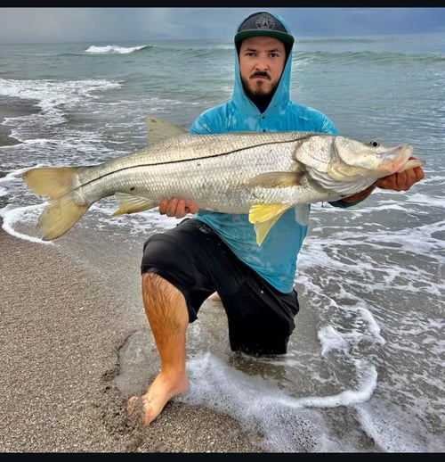 Surf Fishing - 4 Hours