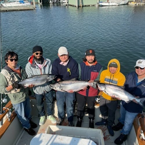 Marin Salmon Fishing