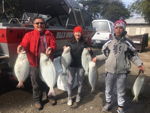 Striped Bass and Halibut Roundup