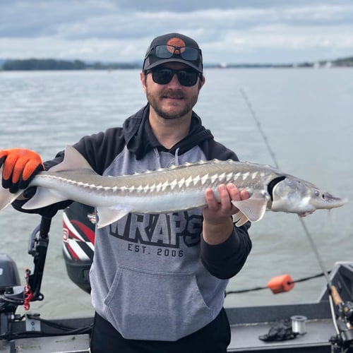 Sturgeon Special