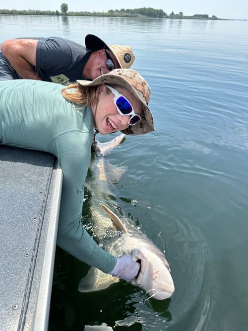 Sturgeon Special