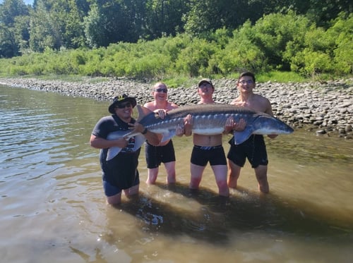 Portland Sturgeon Hunt