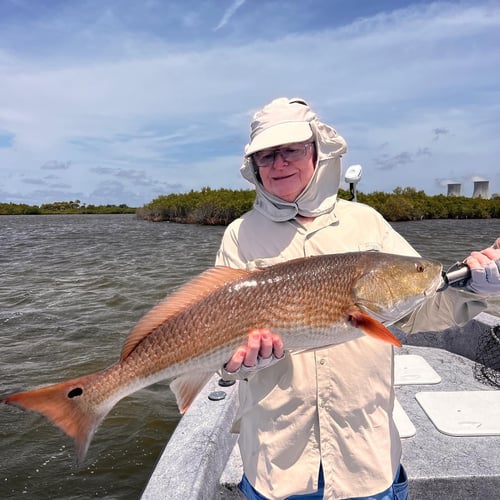 Redfish Fishing in Crystal River, Florida