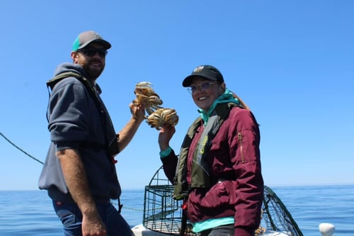 Dungeness Crab Trips