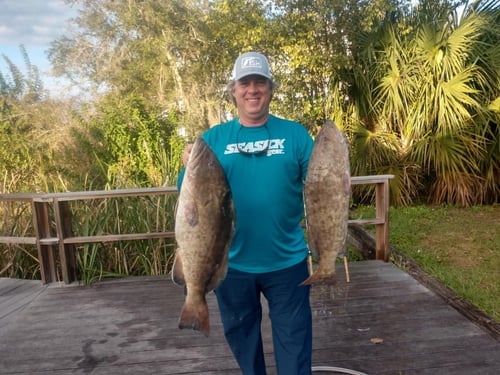 Gag Grouper Fishing in Crystal River, Florida