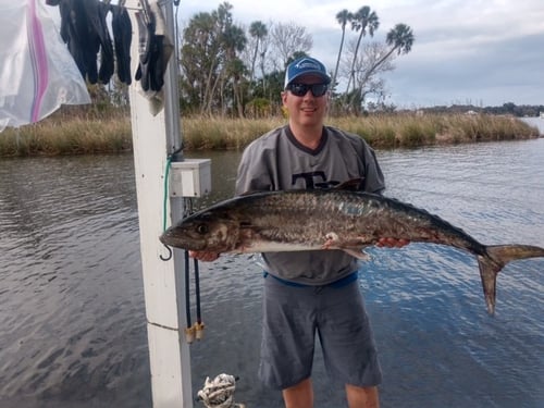 Grouper Special