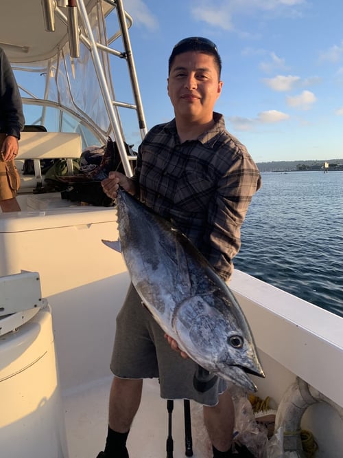 San Diego Champion Bluefin Adventure