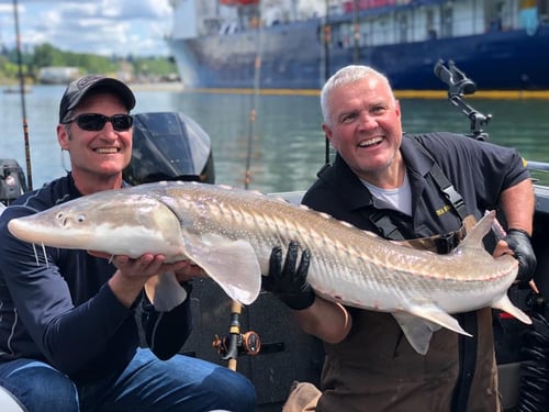 Sturgeon Catch and Release Trip