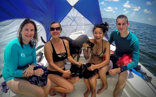 Crystal Coast Scalloping Adventure