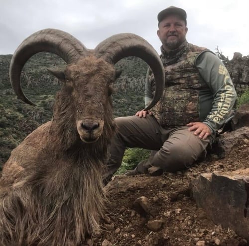 West Texas Aoudad Ram Hunt
