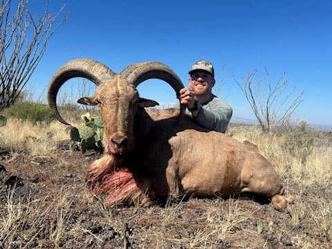Hill Country Aoudad Ram Hunt