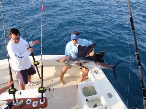 Full Day Hardcore Offshore Trip