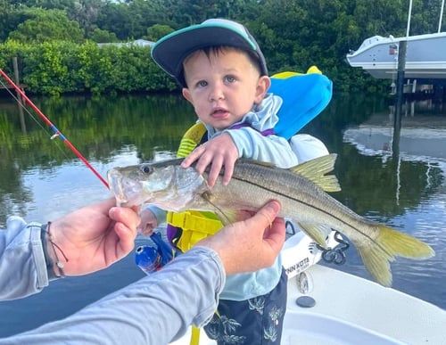 Southwest Florida Fishing Adventure