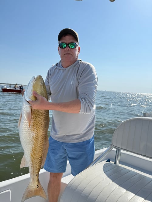 Alabama Inshore Classic