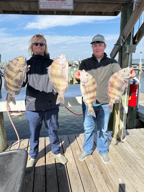 Alabama Inshore Classic