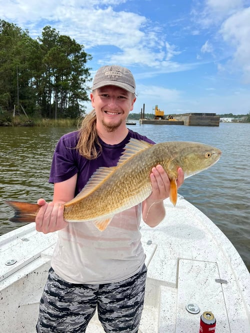 Alabama Inshore Classic - 30' Contender