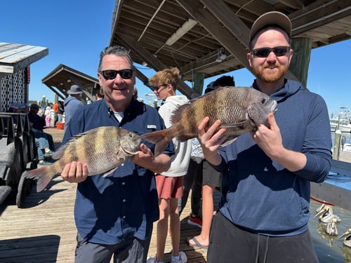 Alabama Inshore Classic