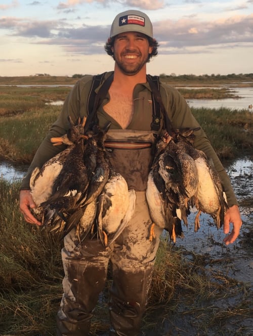 Coastal Bend Ducks