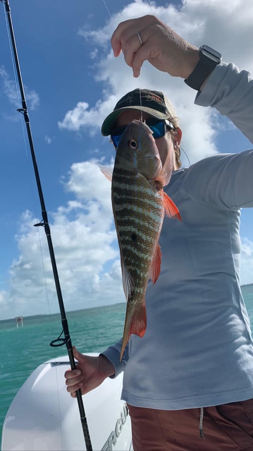Islamorada Reefs & Wrecks