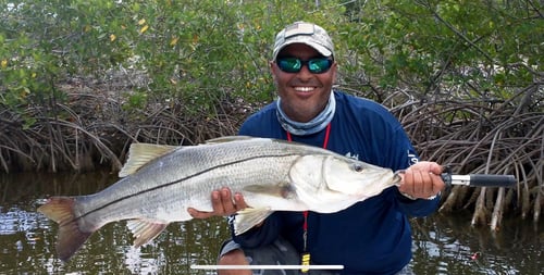Snook Fishing in Homestead, Florida