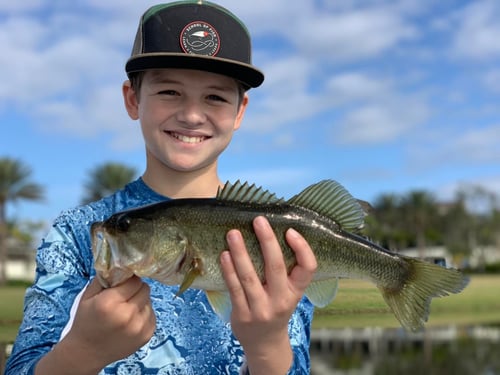 Largemouth Bass Fishing in Jupiter, Florida