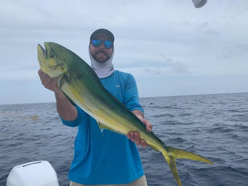 Islamorada Full Spectrum Trip