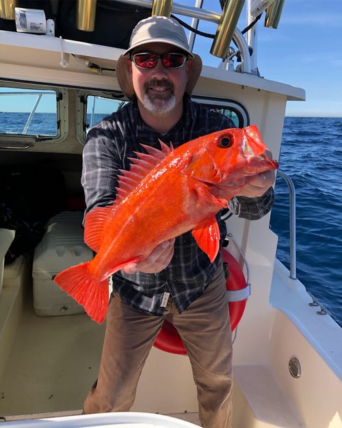 Inshore/Coastal (9 hr.)