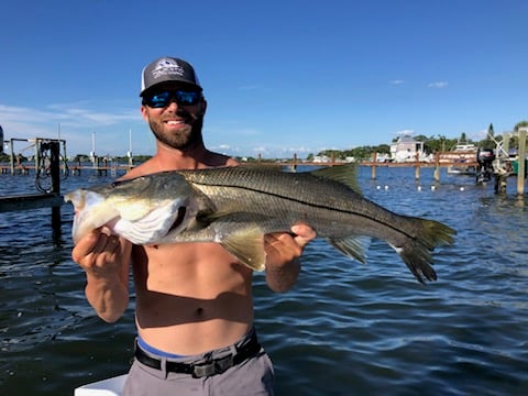 Tampa Bay Inshore Action