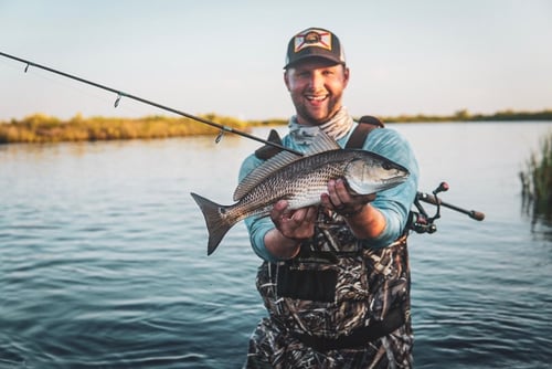Tampa Bay Inshore Action