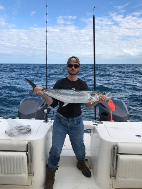 Tampa Bay Inshore Action