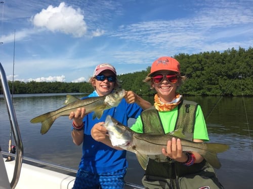 Tampa Bay Inshore Action