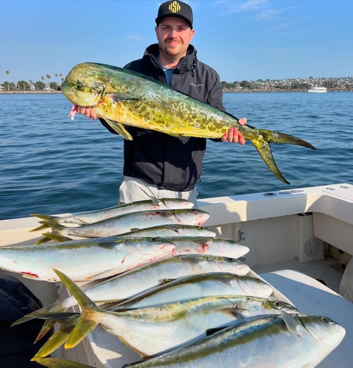 3/4 Day - Offshore Banks (9 hr.)