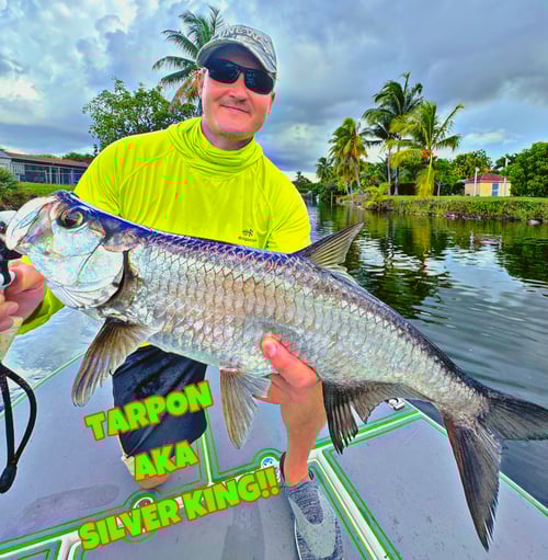 Inshore Bay Tarpon & Snook Charter 