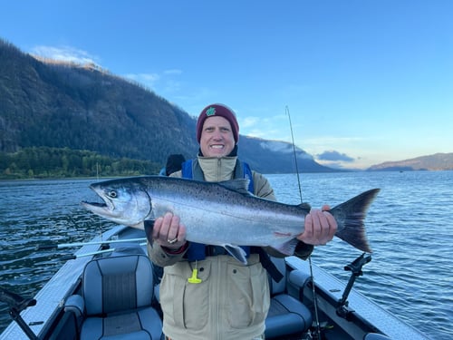 Tillamook Salmon and Steelhead