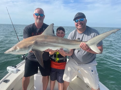 Tampa Bay Shark Hunt