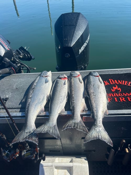 Astoria Salmon Fishing at Buoy 10