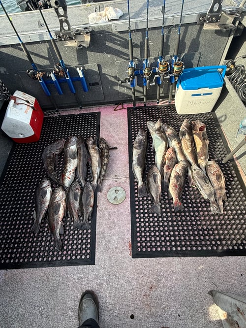 Salmon, Rockfish, Lingcod, & Crab