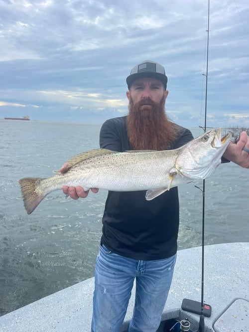 Aransas Pass Redfish Wade
