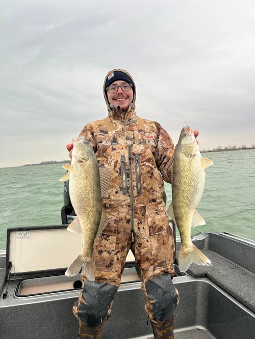 Lake Erie Walleye
