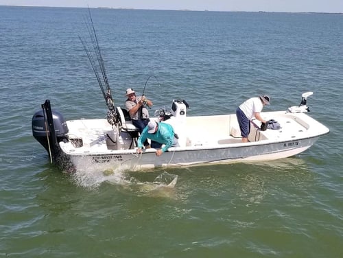 Scalloping Trip