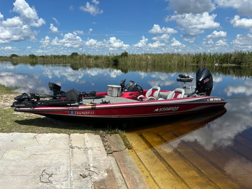 Everglades Peacock Bass/Largemouth