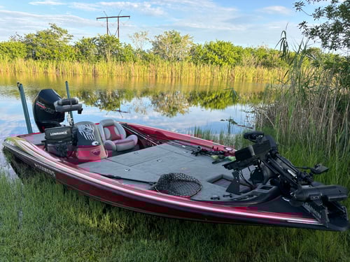 Everglades Peacock Bass/Largemouth